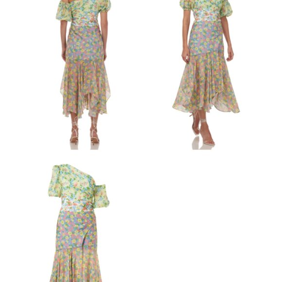 AMUR Silk Dress - Picture 5 of 6